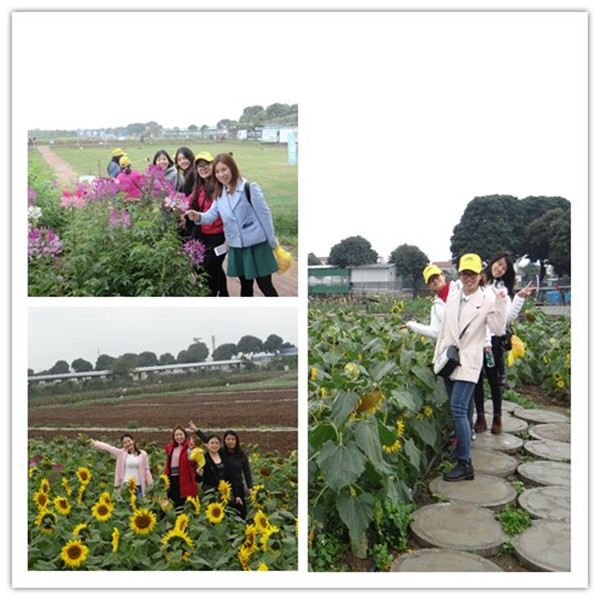 7790必发集团(中国)有限公司-搜狗百科